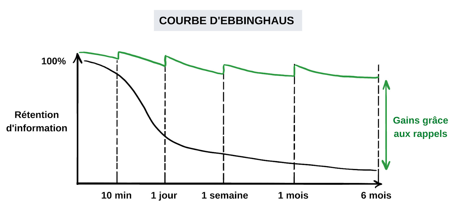 Courbe d'Ebbinghaus — illustration de la courbe de l'oubli